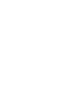 The Shuffle Director Logo